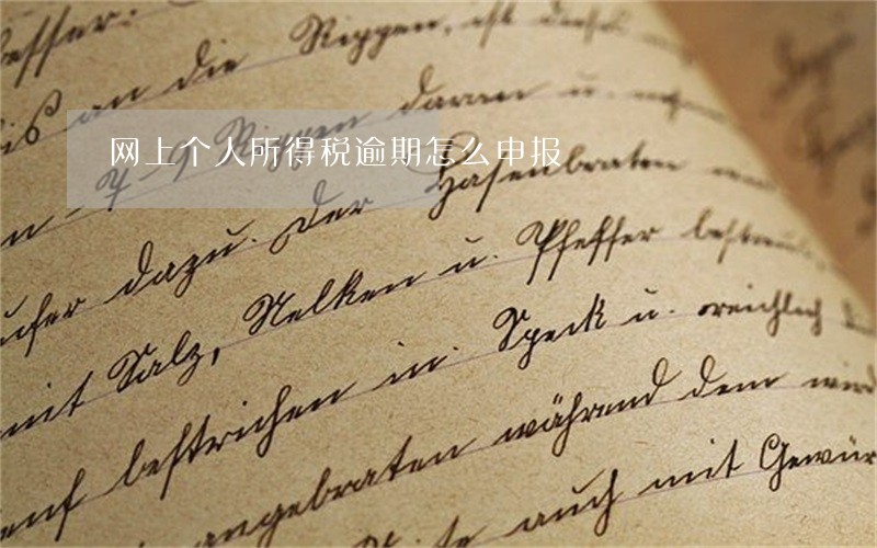 网上个人所得税逾期怎么申报 网上个人所得税逾期怎么申报