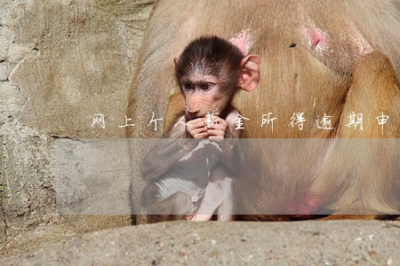 网上个人薪金所得逾期申报在哪里 网上个人薪金所得逾期申报在哪里