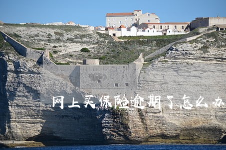 网上买保险逾期了怎么办 网上买保险逾期了怎么办