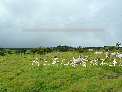 网上买几条香烟不违法 网上买几条香烟不违法