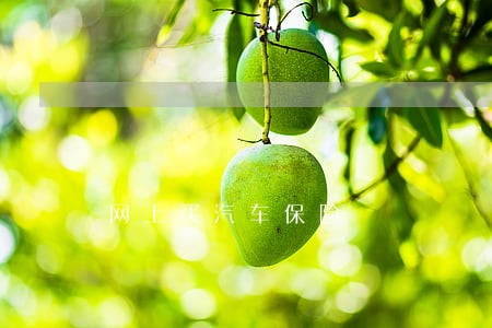 网上买汽车保险