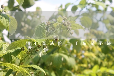 网上买法院二手车是不是偏人的 网上买法院二手车是不是偏人的