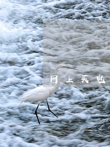 网上买电话卡快递逾期了 网上买电话卡快递逾期了