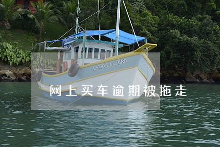 网上买车逾期被拖走 网上买车逾期被拖走