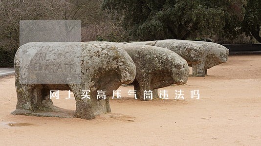 网上买高压气筒违法吗 网上买高压气筒违法吗