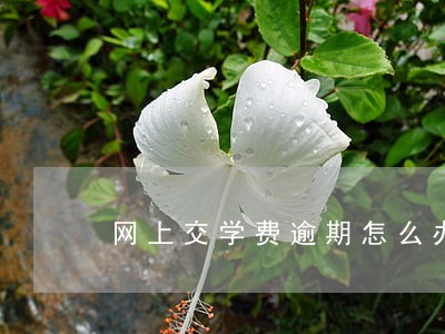 网上交学费逾期怎么办 网上交学费逾期怎么办