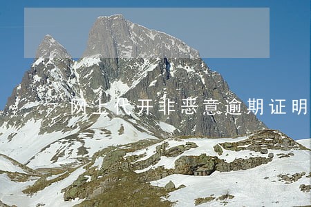 网上代开非恶意逾期证明 网上代开非恶意逾期证明