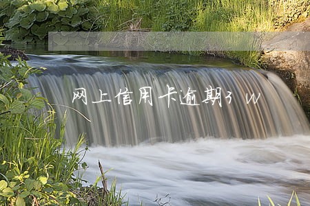 网上信用卡逾期3w 网上信用卡逾期3w