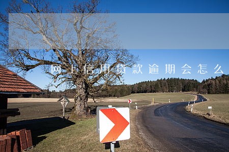 网上信用贷款逾期会怎么样 网上信用贷款逾期会怎么样
