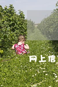 网上信贷逾期 网上信贷逾期