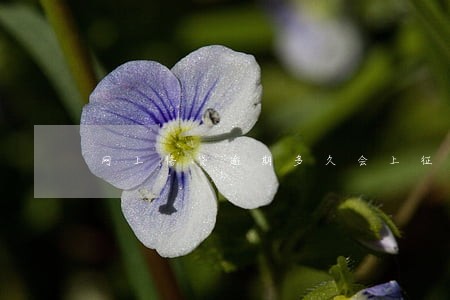 网上信贷逾期多久会上征信 网上信贷逾期多久会上征信