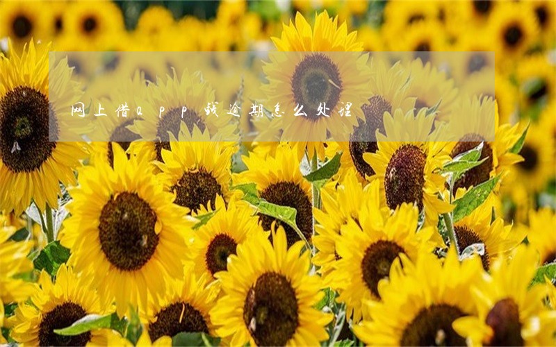 网上借app钱逾期怎么处理 网上借app钱逾期怎么处理