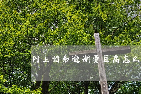 网上借条逾期费巨高怎么办 网上借条逾期费巨高怎么办