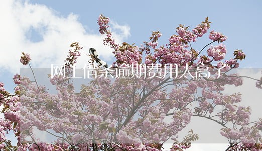 网上借条逾期费用太高了 网上借条逾期费用太高了