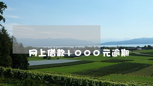 网上借款1000元逾期 网上借款1000元逾期