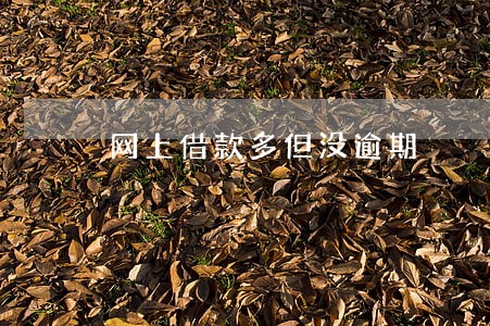网上借款多但没逾期