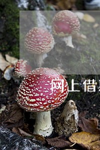 网上借款平台逾期会怎么样 网上借款平台逾期会怎么样