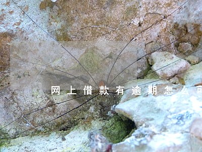 网上借款有逾期怎么可以消除 网上借款有逾期怎么可以消除