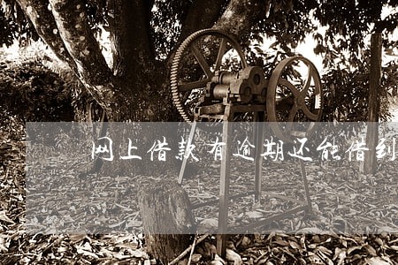 网上借款有逾期还能借到钱吗 网上借款有逾期还能借到钱吗