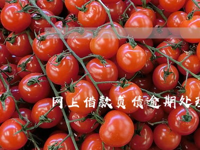 网上借款负债逾期处理方法 网上借款负债逾期处理方法