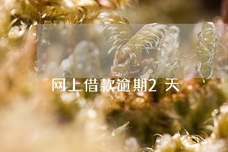 网上借款逾期2天 网上借款逾期2天