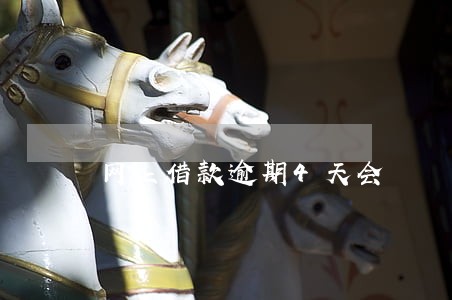 网上借款逾期4天会
