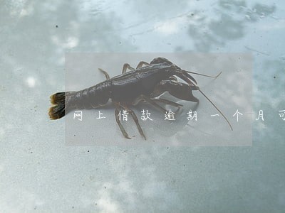 网上借款逾期一个月可以吗 网上借款逾期一个月可以吗