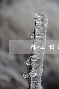 网上借款逾期一天200多 网上借款逾期一天200多