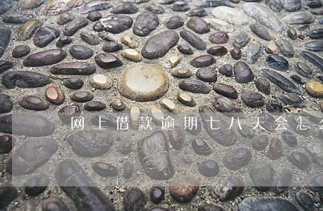 网上借款逾期七八天会怎么样