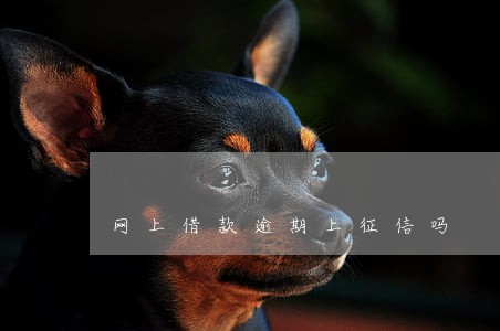 网上借款逾期上征信吗 网上借款逾期上征信吗