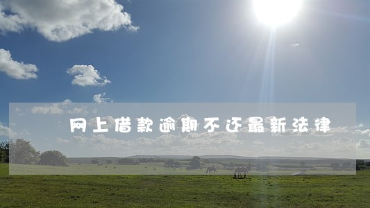 网上借款逾期不还最新法律 网上借款逾期不还最新法律