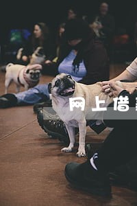 网上借款逾期了以后还能借款吗 网上借款逾期了以后还能借款吗