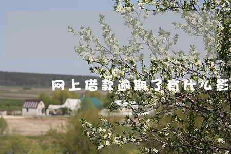 网上借款逾期了有什么影响 网上借款逾期了有什么影响
