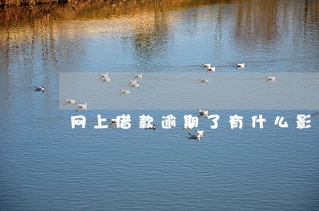 网上借款逾期了有什么影响吗 网上借款逾期了有什么影响吗