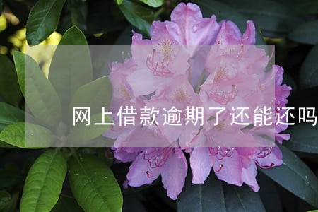 网上借款逾期了还能还吗 网上借款逾期了还能还吗