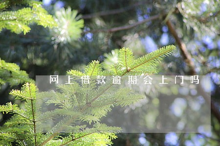 网上借款逾期会上门吗 网上借款逾期会上门吗
