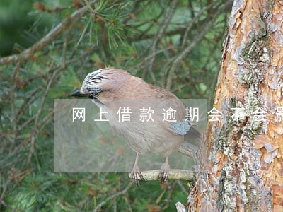 网上借款逾期会不会影响老婆 网上借款逾期会不会影响老婆