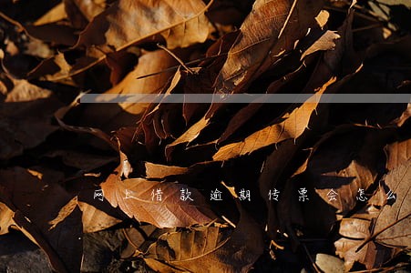 网上借款逾期传票会怎么样 网上借款逾期传票会怎么样