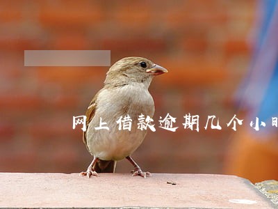 网上借款逾期几个小时 网上借款逾期几个小时