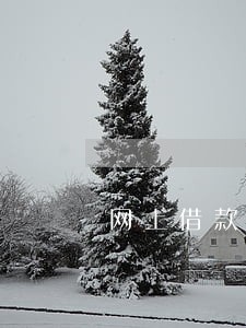 网上借款逾期利息 网上借款逾期利息