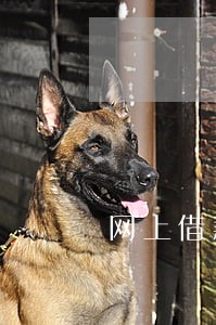 网上借款逾期利息会增加吗 网上借款逾期利息会增加吗