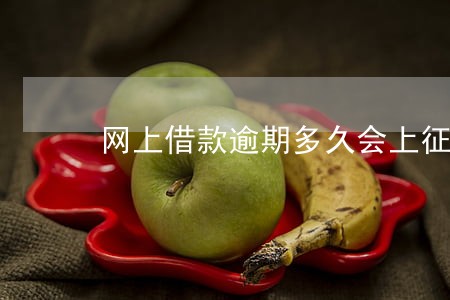 网上借款逾期多久会上征信 网上借款逾期多久会上征信