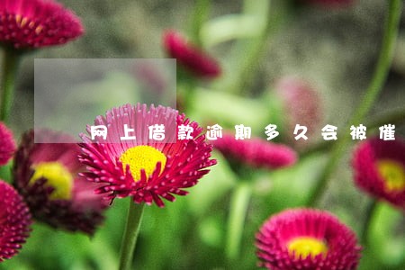 网上借款逾期多久会被催收 网上借款逾期多久会被催收