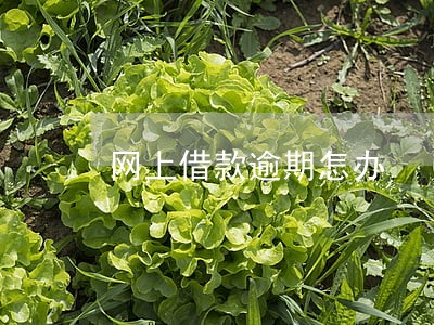 网上借款逾期怎办 网上借款逾期怎办