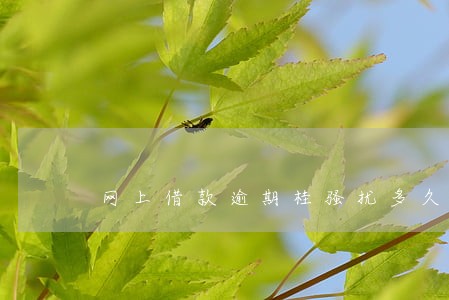网上借款逾期桂骚扰多久 网上借款逾期桂骚扰多久
