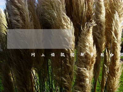 网上借款逾期费用合理么 网上借款逾期费用合理么