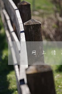 网上借款逾期还了会怎么样 网上借款逾期还了会怎么样