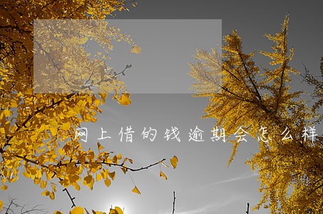 网上借的钱逾期会怎么样 网上借的钱逾期会怎么样
