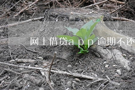 网上借贷app逾期不还 网上借贷app逾期不还