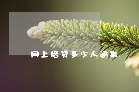 网上借贷多少人逾期 网上借贷多少人逾期